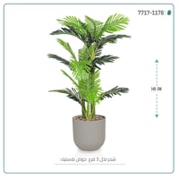 نخل أريكا صغير (3 فروع) بمركن بلاستيك أسطواني - صورة 3