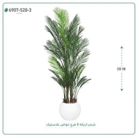 شجرة أريكا صناعية ( ارتفاع 220 سم ) حوض بلاستيك - صورة 6