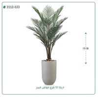 شجر أريكا صناعية ( ارتفاع 175 سم ) حوض فيبر - صورة 4