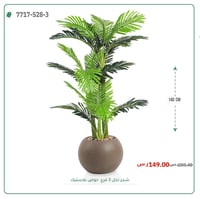 نخل أريكا صغير (3 فروع) بمركن بلاستيك دائرى - صورة 2
