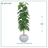 شجرة ورق قلب اصطناعية ( ارتفاع 205 سم ) حوض فيبر - صورة 5