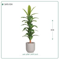شجرة ورق أخضر وسط بمركن فيبر اسطوانى - صورة 8