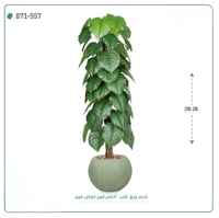 شجرة ورق قلب اصطناعية ( ارتفاع 200 سم ) حوض فايبر - صورة 2