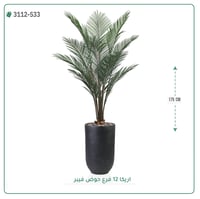 شجر أريكا صناعية ( ارتفاع 175 سم ) حوض فيبر - صورة 3