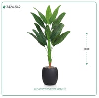 شجر عصفور الجنة صناعية ( ارتفاع 140 سم ) حوض فيبر - صورة 2