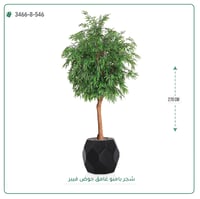 شجرة بامبو صناعية جذع خشبي طبيعي حوض فيبر - صورة 14