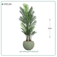 شجرة أريكا صناعية ( ارتفاع 230 سم ) حوض فيبر - صورة 8