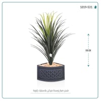 شجرة صبار اصطناعى بمركن بلاستيك بزاويه - صورة 2