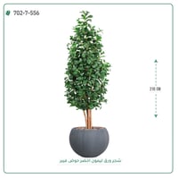 شجرة ليمون صناعية حوض فايبر ( ارتفاع 210 سم ) - صورة 7