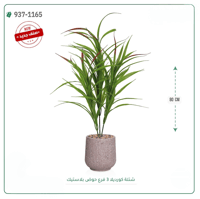 شجر كورديلا صناعية ( ارتفاع 80 سم ) حوض بلاستك - صورة 2