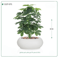 شتلة ياسمين اصطناعية ( ارتفاع 100 سم ) حوض فيبر - صورة 3