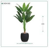 شجر عصفور الجنة صناعية ( ارتفاع 140 سم ) حوض فيبر - صورة 7