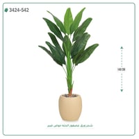 شجر عصفور الجنة صناعية ( ارتفاع 140 سم ) حوض فيبر - صورة 6
