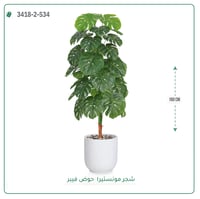 شجرة مونستيرا صناعية ( ارتفاع 160 سم ) حوض فيبر - صورة 5