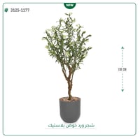 شجرة زيتون مزهرة اصطناعية ( ارتفاع 130 سم ) حوض بلاستيك اسطواني - صورة 2
