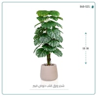 شجرة ورق قلب (ألوكاسيا) الاصطناعية بمركن فيبر بيضاوى - صورة 2