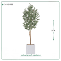 شجرة زيتون صناعية ( ارتفاع 220 سم ) حوض فيبر - صورة 4