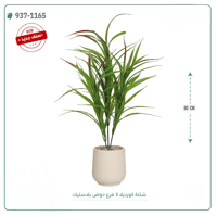 شجر كورديلا صناعية ( ارتفاع 80 سم ) حوض بلاستك - صورة 5