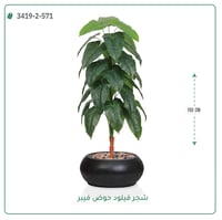 شجرة فيلود صناعية ( ارتفاع 160 سم ) حوض فيبر - صورة 5
