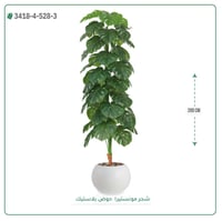 شجرة مونستيرا صناعية ( ارتفاع 200 سم ) حوض بلاستيك - صورة 1