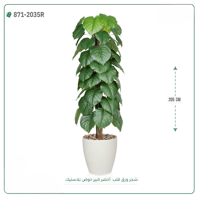 شجرة ورق قلب اصطناعية ( ارتفاع 205 سم ) حوض بلاستيك - صورة 2