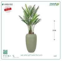 شجرة أريكا صناعية ( ارتفاع 170 سم ) حوض فيبر - صورة 1