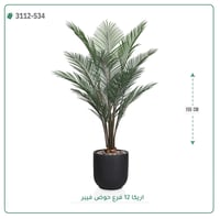 شجر أريكا صناعية ( ارتفاع 155 سم ) حوض فيبر - صورة 3