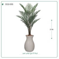 شجر أريكا صناعية ( ارتفاع 175 سم ) حوض فيبر - صورة 6