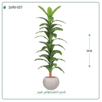 شجر أخضر صناعي ( ارتفاع 190 سم ) حوض فيبر - صورة 7