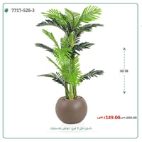 نخل أريكا صغير (3 فروع) بمركن بلاستيك دائرى - صورة 6