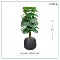 شجرة ورق قلب (ألوكاسيا) الاصطناعية بمركن فيبر بيضاوى - صورة 6