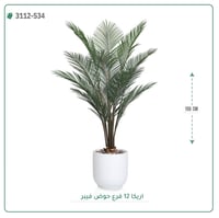 شجر أريكا صناعية ( ارتفاع 155 سم ) حوض فيبر - صورة 1
