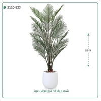 شجرة نخل أريكا اصطناعية (18 فرع) بمركن فيبر بيضاوى - صورة 3