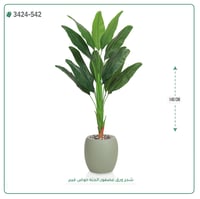 شجر عصفور الجنة صناعية ( ارتفاع 140 سم ) حوض فيبر - صورة 4