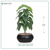 شجرة فيلود صناعية ( ارتفاع 135 سم ) حوض فيبر بيضاوي - صورة 2