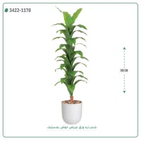 شجرة ذرة صناعية ( ارتفاع 180 سم ) حوض بلاستيك - صورة 3