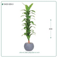 شجرة ذرة صناعية ( ارتفاع 180 سم ) حوض بلاستيك دائري - صورة 5