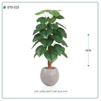 شجرة ورق قلب(ألوكاسيا) اصطناعية ( ارتفاع 140سم ) بمركن فيبر - صورة 3