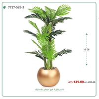 نخل أريكا صغير (3 فروع) بمركن بلاستيك دائرى - صورة 1