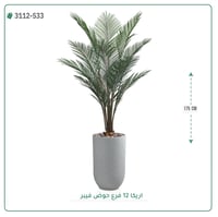 شجر أريكا صناعية ( ارتفاع 175 سم ) حوض فيبر - صورة 6