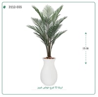 شجر أريكا صناعية ( ارتفاع 175 سم ) حوض فيبر - صورة 4