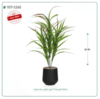 شجر كورديلا صناعية ( ارتفاع 80 سم ) حوض بلاستك - صورة 4