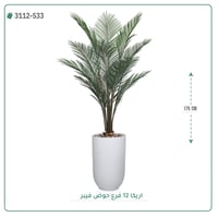 شجر أريكا صناعية ( ارتفاع 175 سم ) حوض فيبر - صورة 1