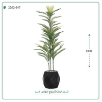 شجرة أريكا اصطناعية (3 فرع) بمركن فيبر - صورة 4