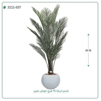 شجرة أريكا صناعية ( ارتفاع 185 سم ) حوض فيبر - صورة 3