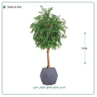 شجرة بامبو صناعية جذع خشبي طبيعي حوض فيبر - صورة 5
