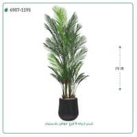 شجر اريكا صناعية ( ارتفاع 215 سم ) حوض بلاستيك - صورة 4