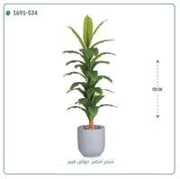 شجرة ورق أخضر وسط بمركن فيبر اسطوانى - صورة 5