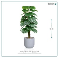 شجرة ورق قلب (ألوكاسيا) الاصطناعية بمركن فيبر أسطواني - صورة 4