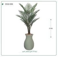 شجر أريكا صناعية ( ارتفاع 175 سم ) حوض فيبر - صورة 1